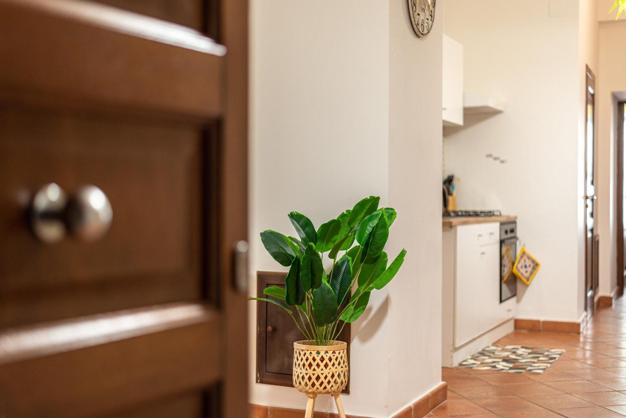 Good Vibes Apartment Nel Centro Storico 巴勒莫 外观 照片